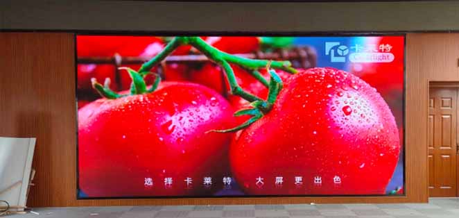 陽明小學p2.5